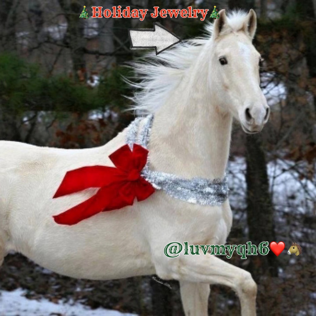 Holiday Jewelry Sets
